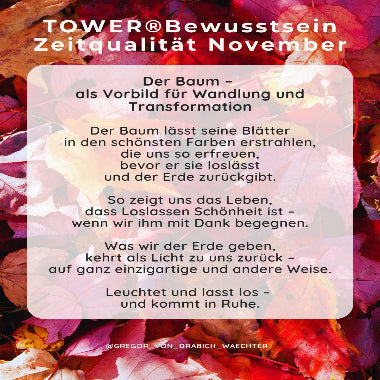 TOWER®Bewusstsein Channeling – Zeitqualität November (Sabine)