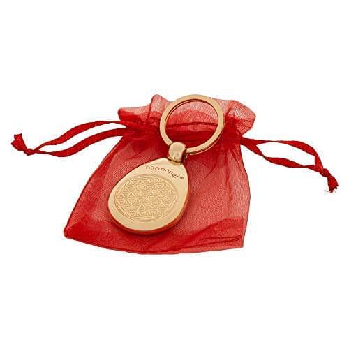 Schlüsselanhänger, energetisiert - ch-ambition-ag