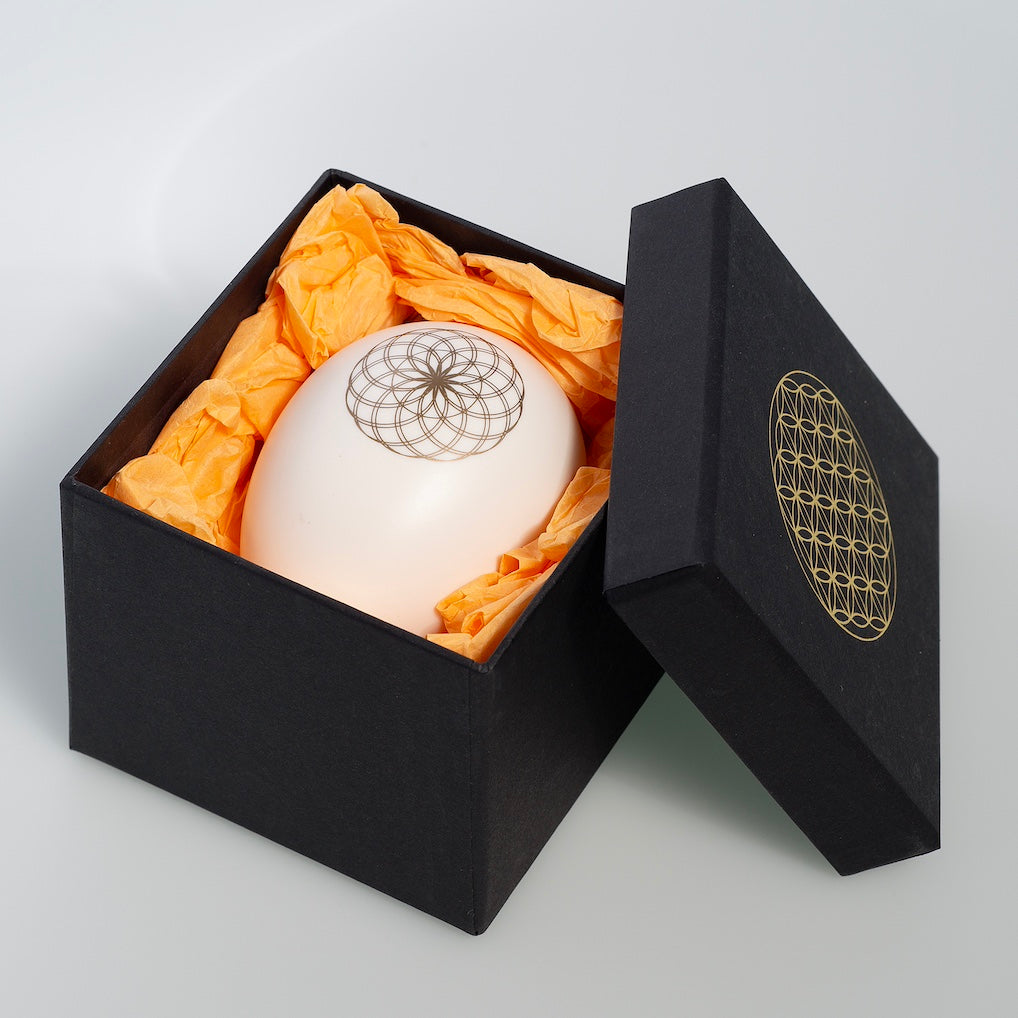 Mehr Wohlbefinden und weniger Elektrostress unter dem Einfluss des harmonei®. Bei ch.ambition.life