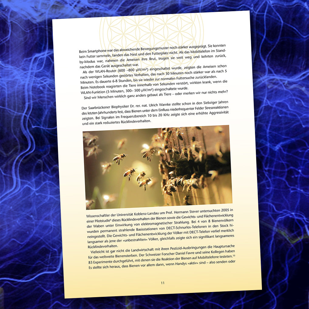 Was ist Elektrosmog? Ulrich Holst als eBook - ch-ambition-ag