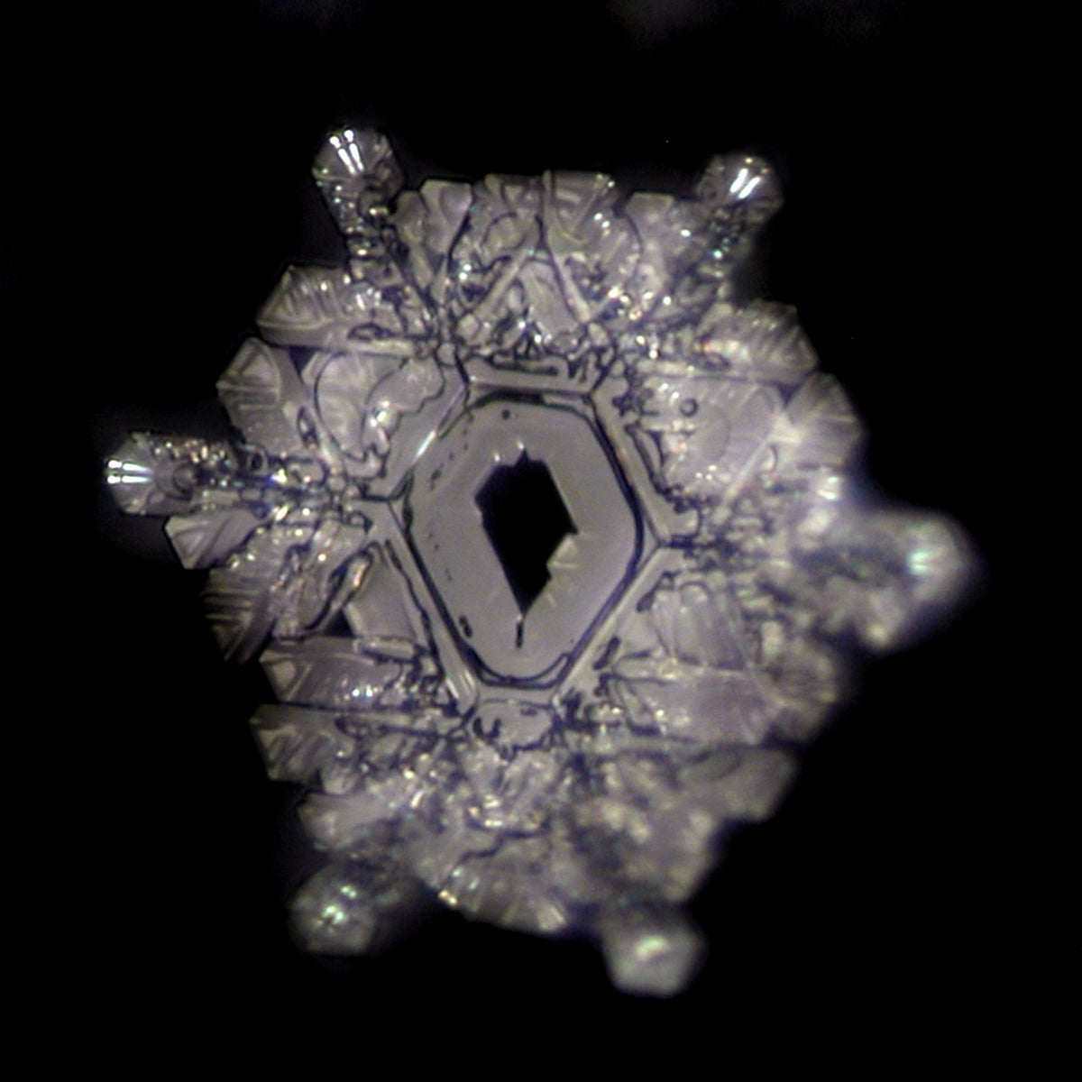 Wasserkristalle - Masaru Emoto - ch-ambition-ag