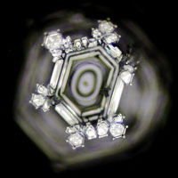 Wasserkristalle - Masaru Emoto - ch-ambition-ag